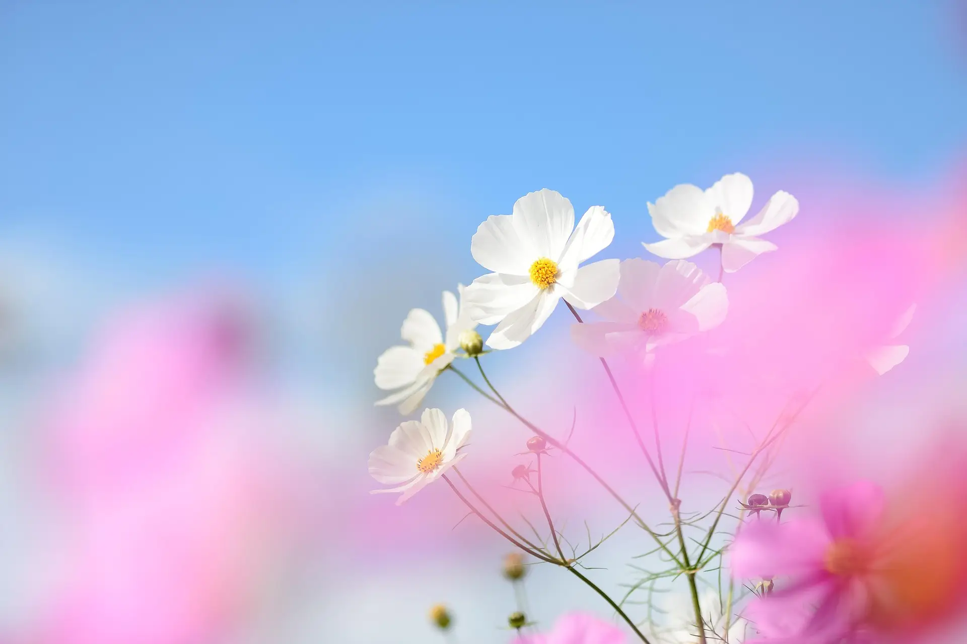 【窃盗】窃盗事件で、示談せずとも不起訴処分になった事案