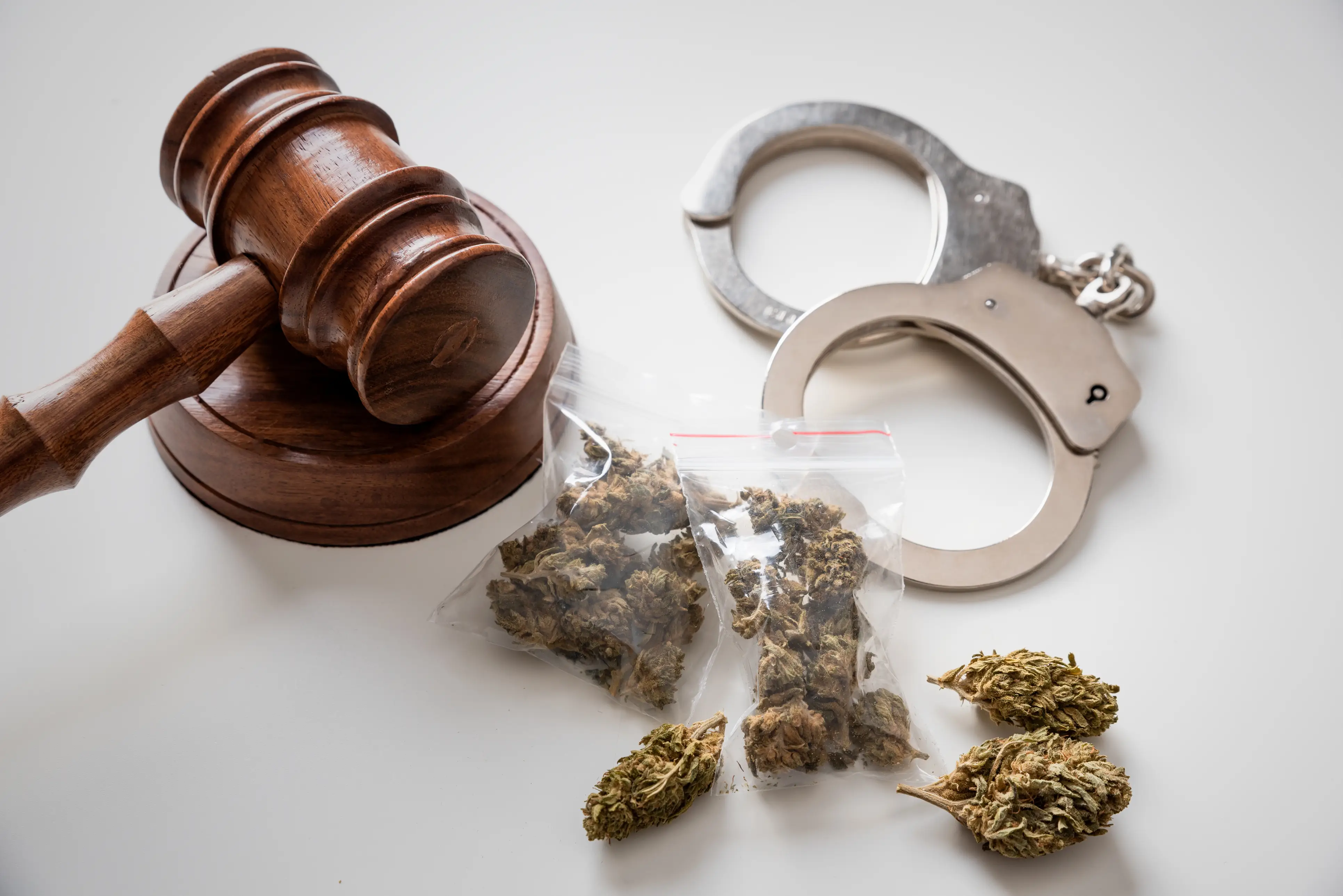 大麻に強い弁護士の選び方|不起訴を勝ち取った事例についても
